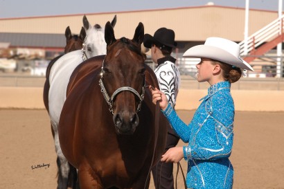 western halter horse and handler on show day
