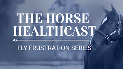 The Horse HealthCast by SmartEquine: Fly Frustrations 