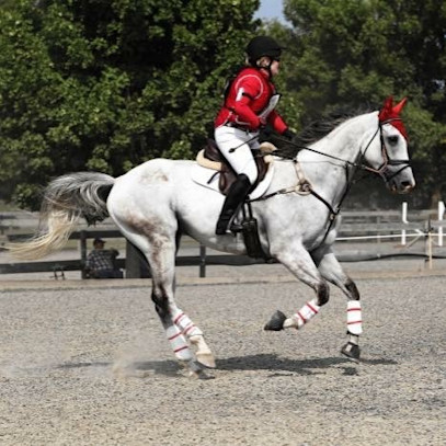 SmartPaker Supplement Review: 4CTYE™ Epiitalis® Forte Horse Gel