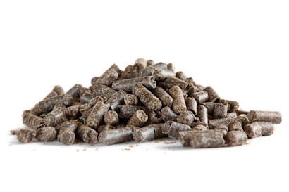 beet pulp pellets for horses