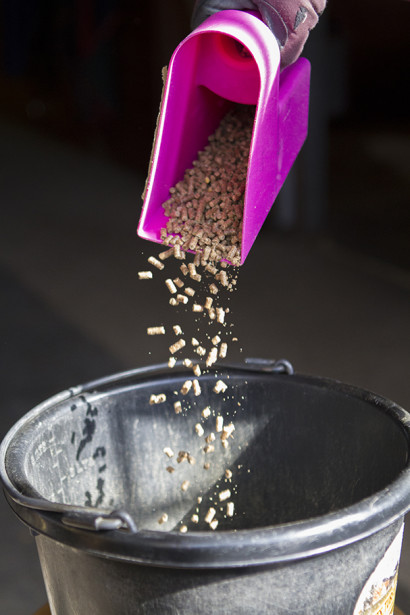 Grain being poured into a horse's feed bucket