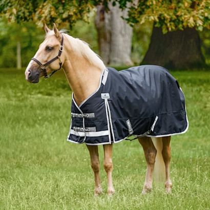 A palomino horse wearing a SmartEquine Deluxe Stocky Fit Turnout Blanket.