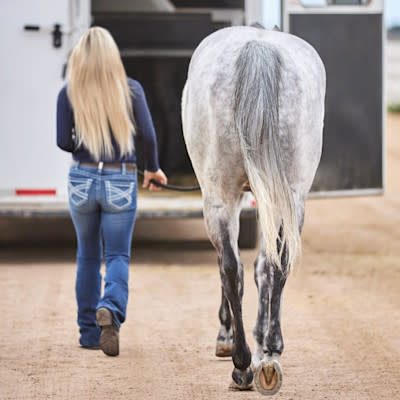 A woman leading a horse to a horse trailer