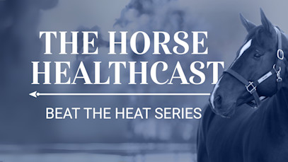 The Horse HealthCast by SmartEquine: Beat The Heat Full Collection