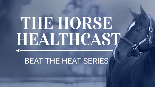 The Horse HealthCast by SmartEquine: Beat The Heat Full Collection