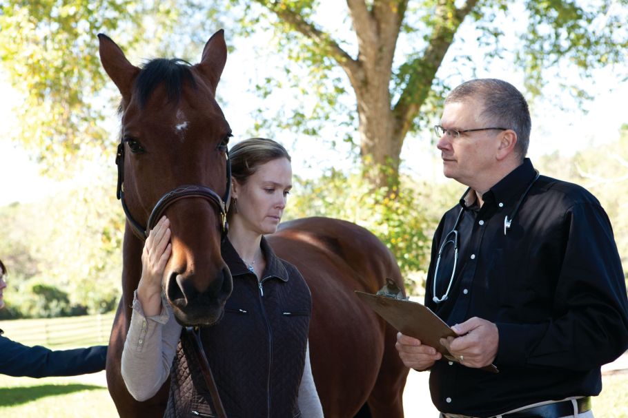 horse vet and owner talking