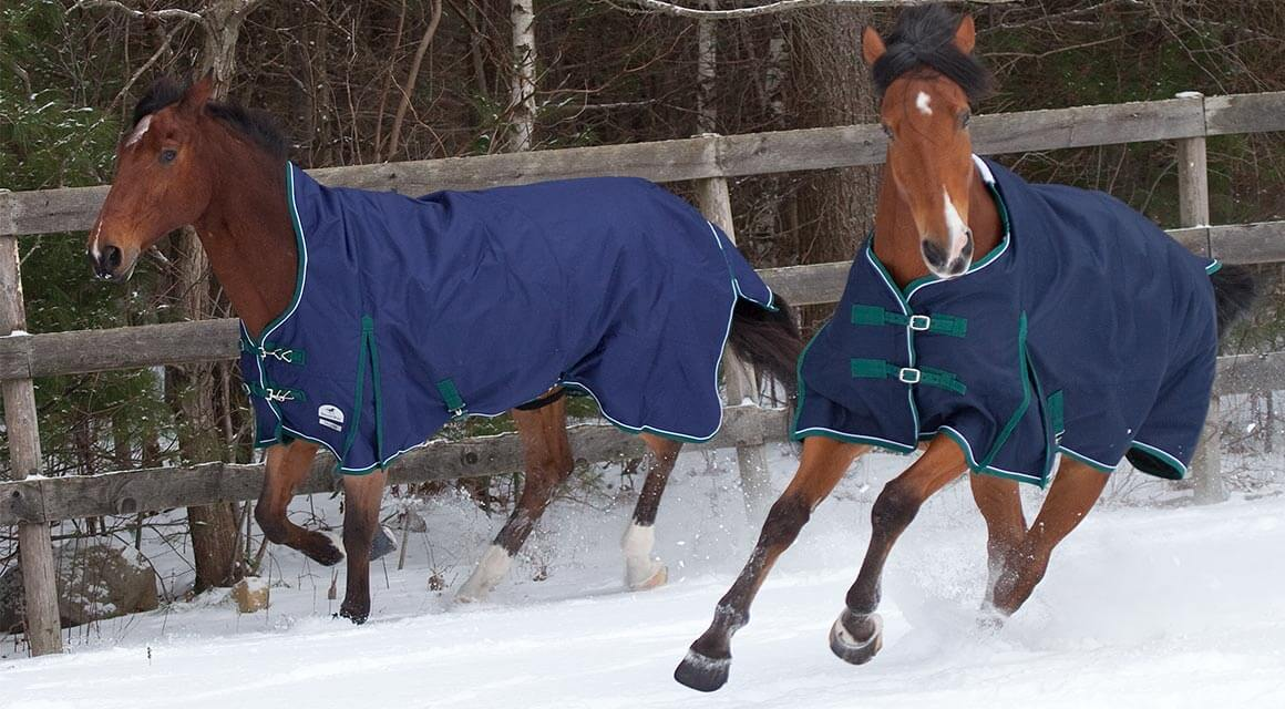 SmartPak Licol Cuir Triple Couture – Marron – Taille Cheval Complet