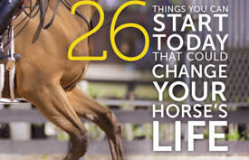 26 Things You Can Start Today That Could Change Your Horse’s Life