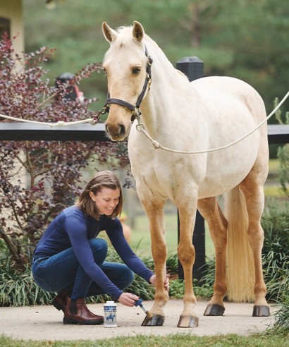 A woman putting hoof oil on her palomino horse