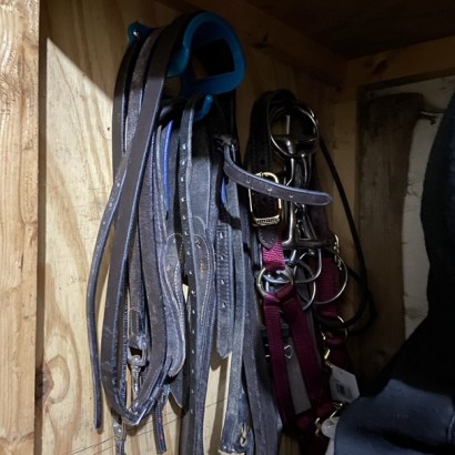 bridle rack with leather hanging inside tack trunk