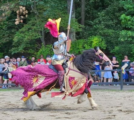 Knight with burgundy colors on dark draft horse