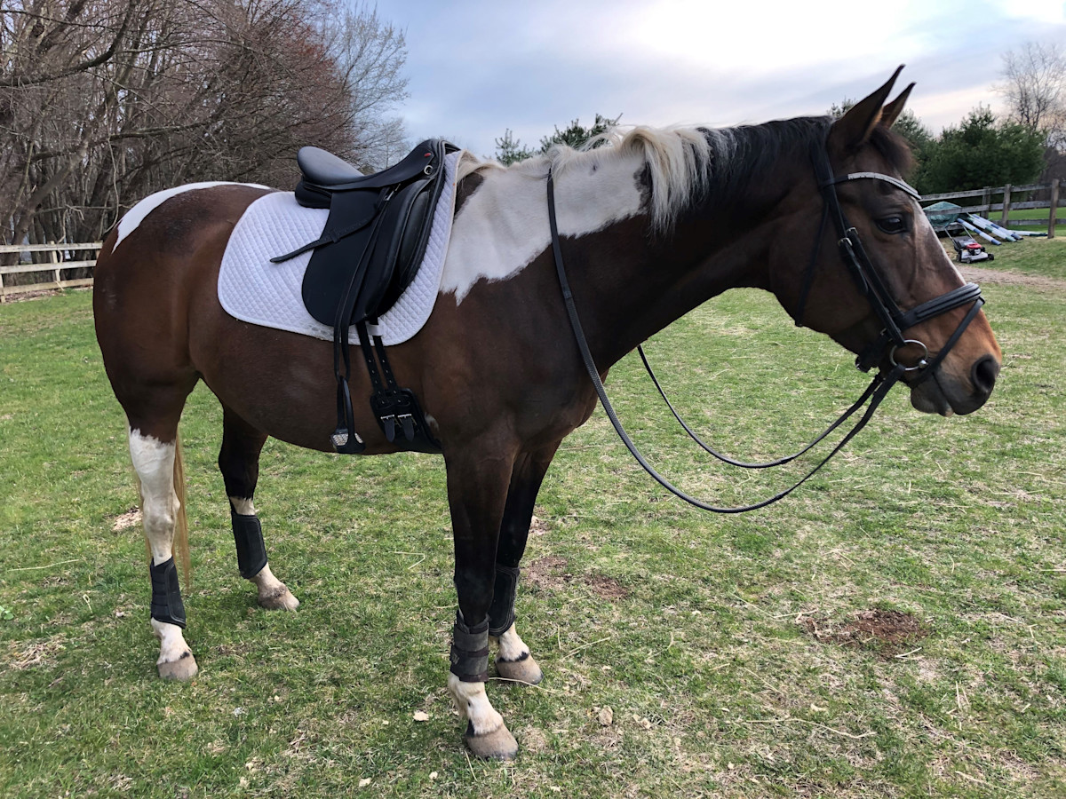 Meet Amanda A. and Emmie | SmartPak Blog