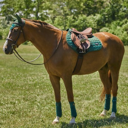 chestnut horse wearing hunter green color scheme