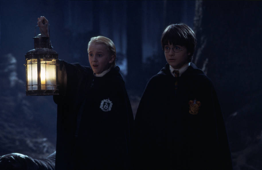 HP-F1-philosophers-stone-harry-draco-forbidden-forest-scared-web-landscape