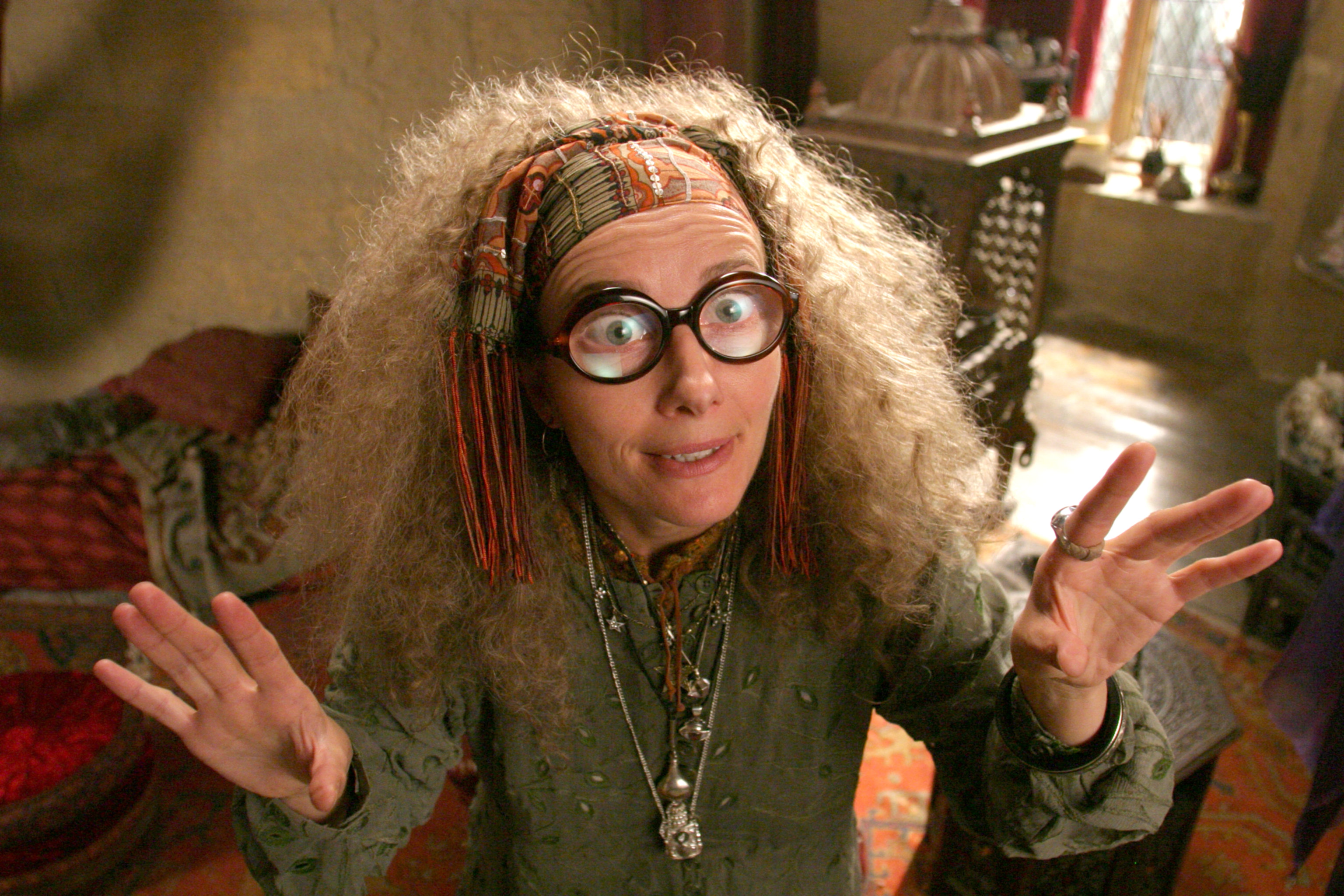 harry potter professor trelawney