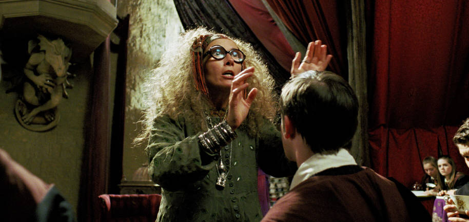 WB-F3-trelawney-in-divination-web-landscape