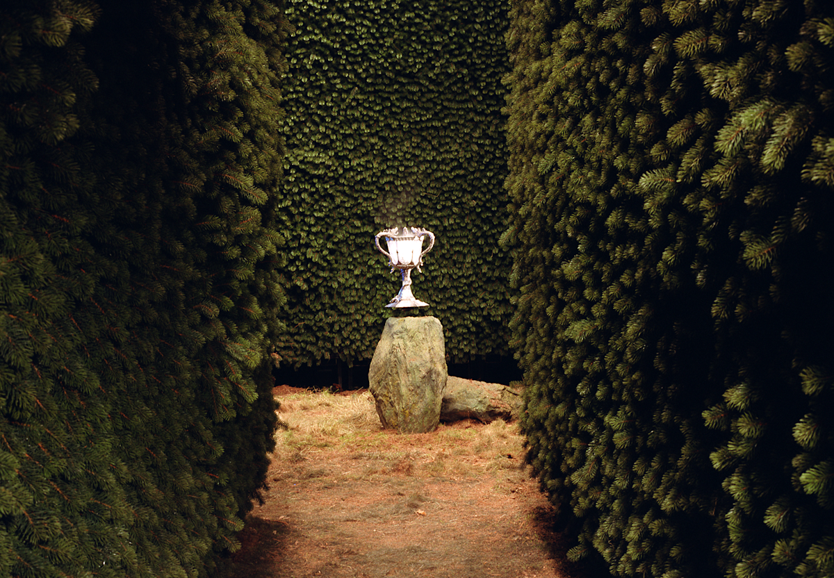 The Triwizard Cup Official Harry Potter Encyclopedia the-triwizard-cup-official-harry-potter-encyclopedia