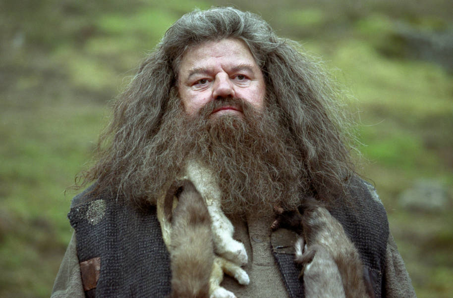 Hagrid looking sad before the execution of Buckbeak