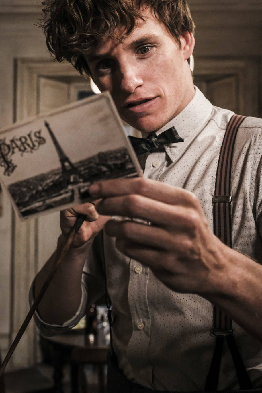 Newt Scamander reading a postcard from Paris