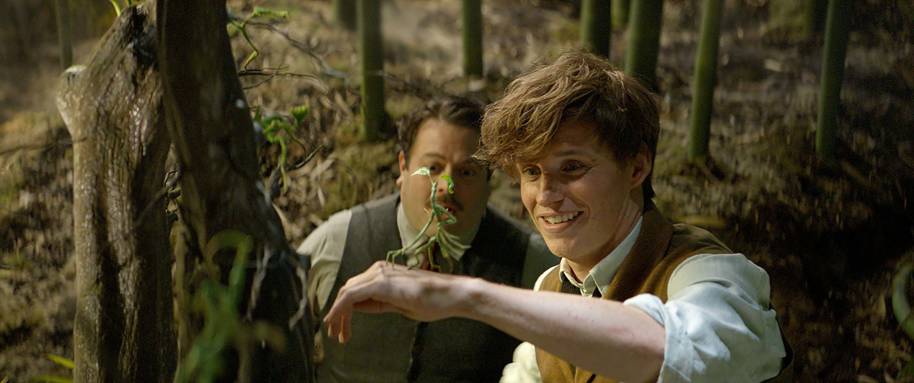 Newt and Jacob with the Bowtruckle