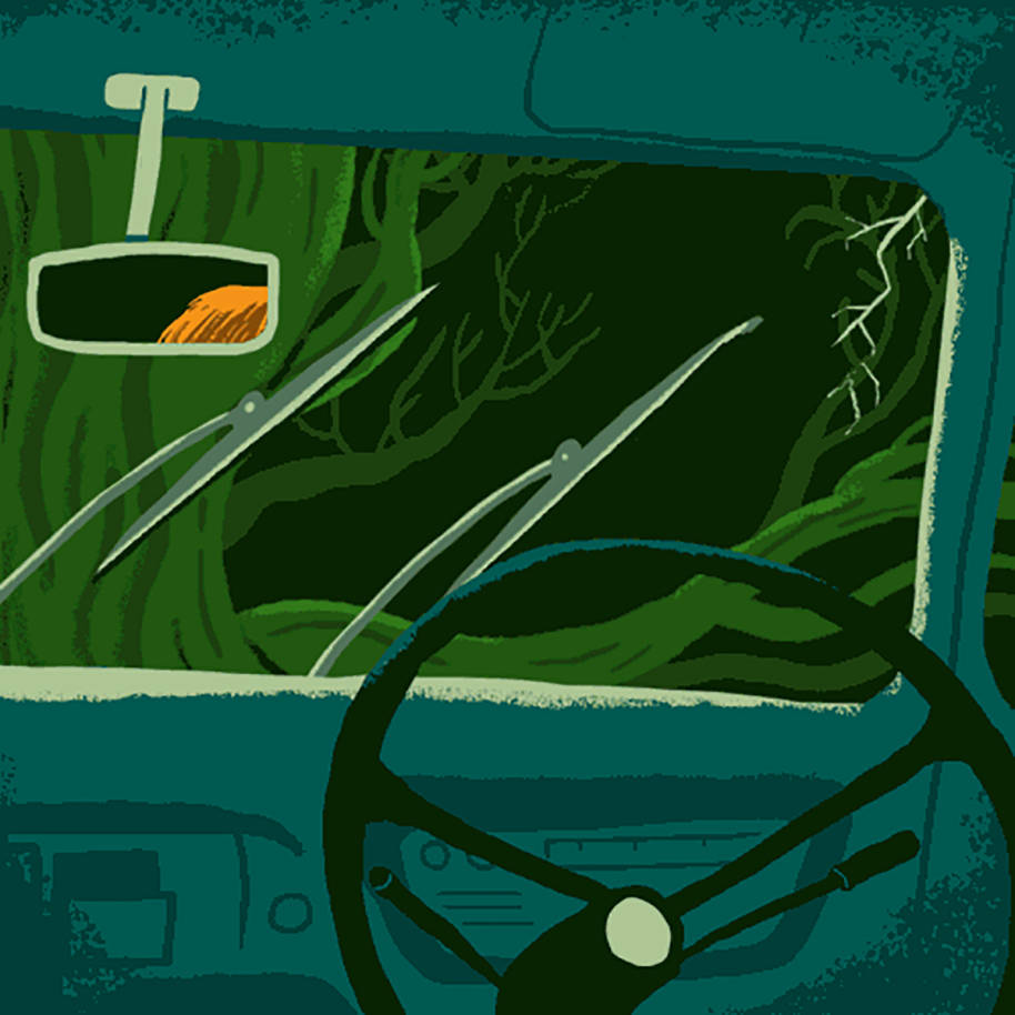 Illustration of the Ford Anglia interior from Read the Magic