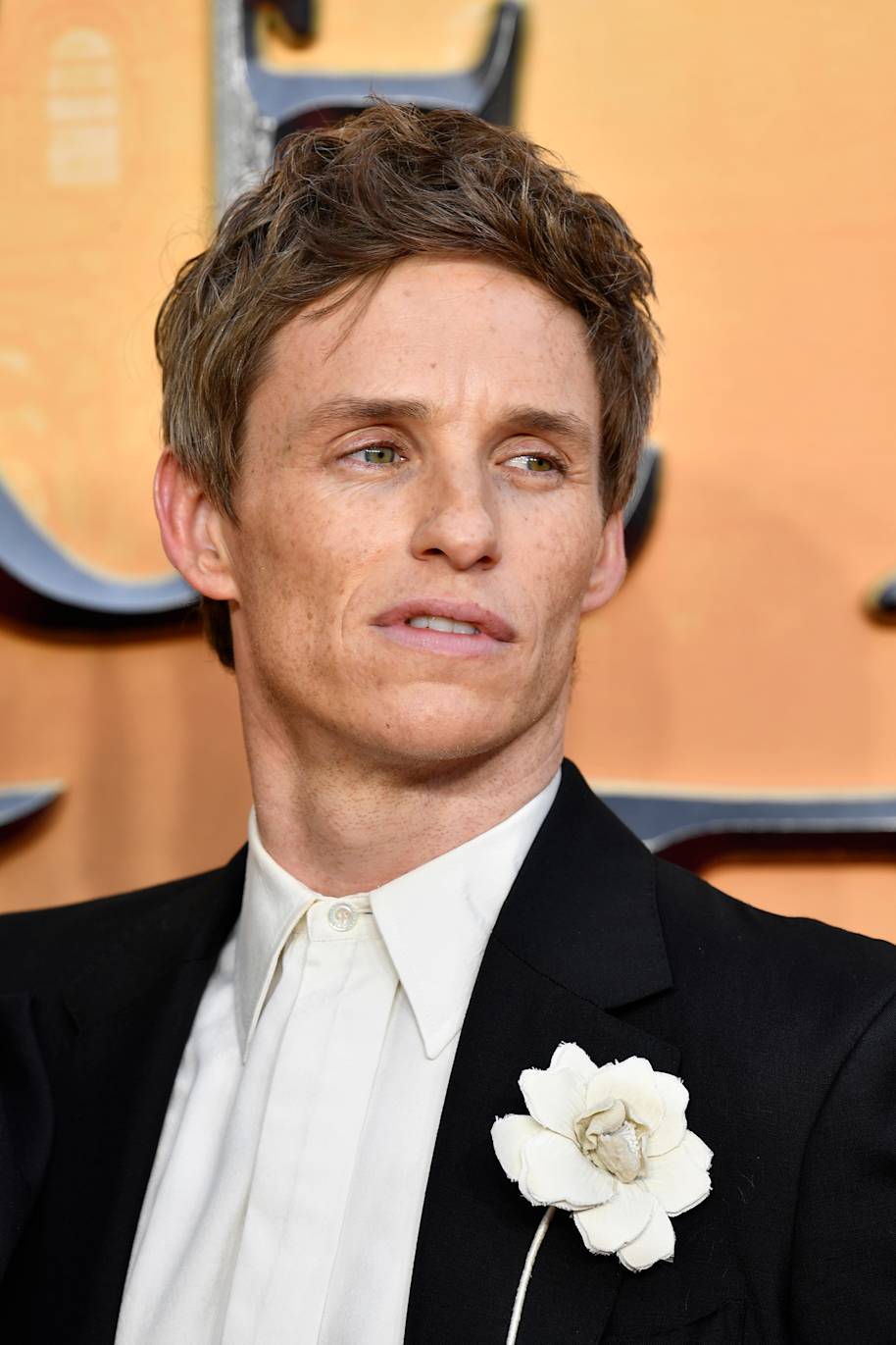 TSOD-premiere-eddie-redmayne-newt-scamander-close-up-web-portrait