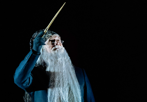 Albus Dumbledore | Official Harry Potter Encyclopedia