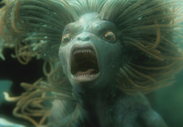 Mer Person Reference Merperson | Official Harry Potter Encyclopedia