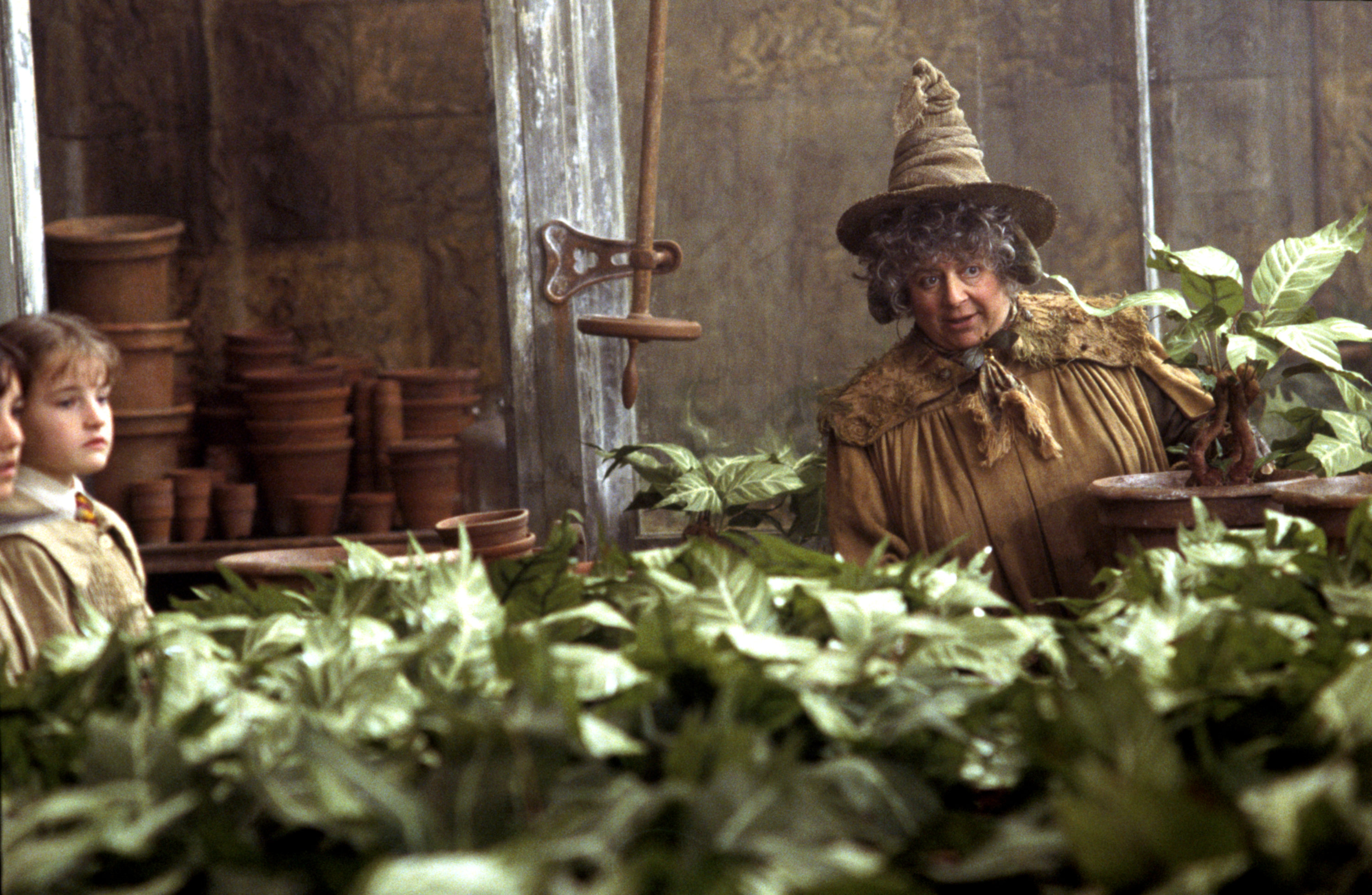 professor sprout harry potter