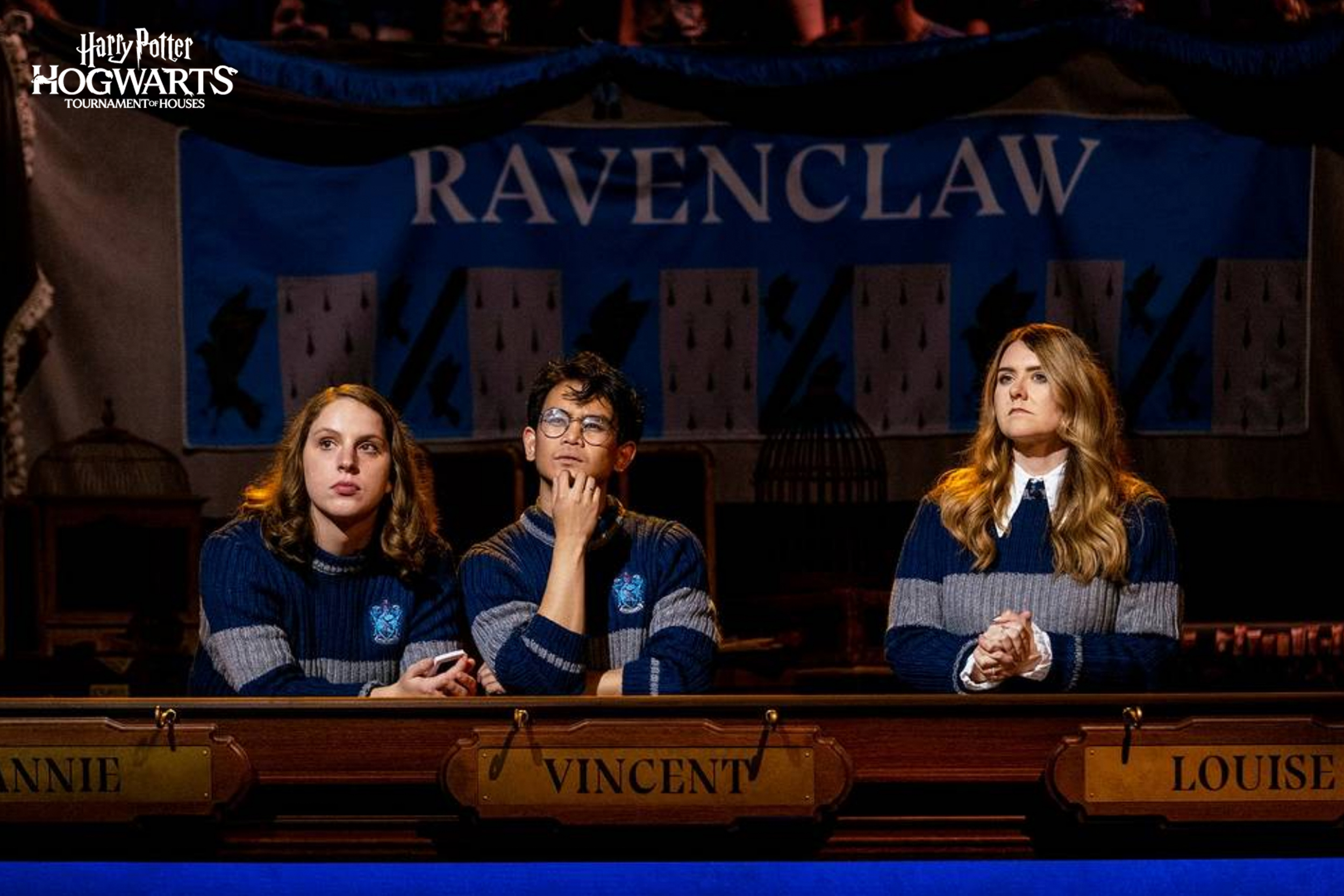 Watch Harry Potter: Hogwarts Tournament of Houses, TV Shows