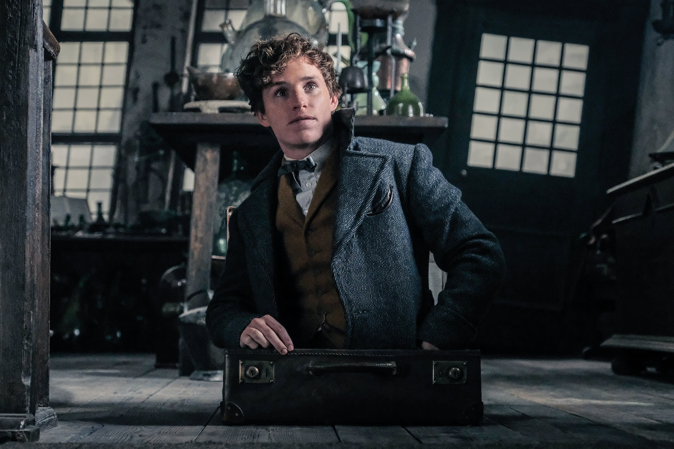 WB-FB2-newt-scamander-coming-out-of-case-crimes-of-grindelwal
