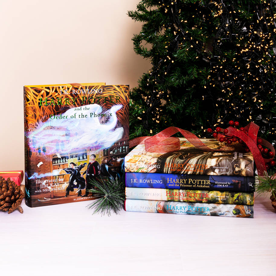A selection of Harry Potter books alongside some festive decorations.
