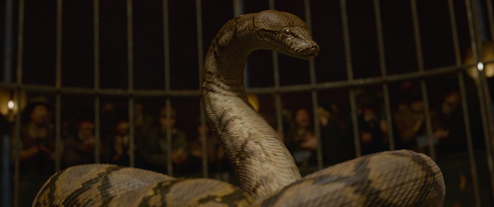 Everything you need to know about Nagini | Wizarding World