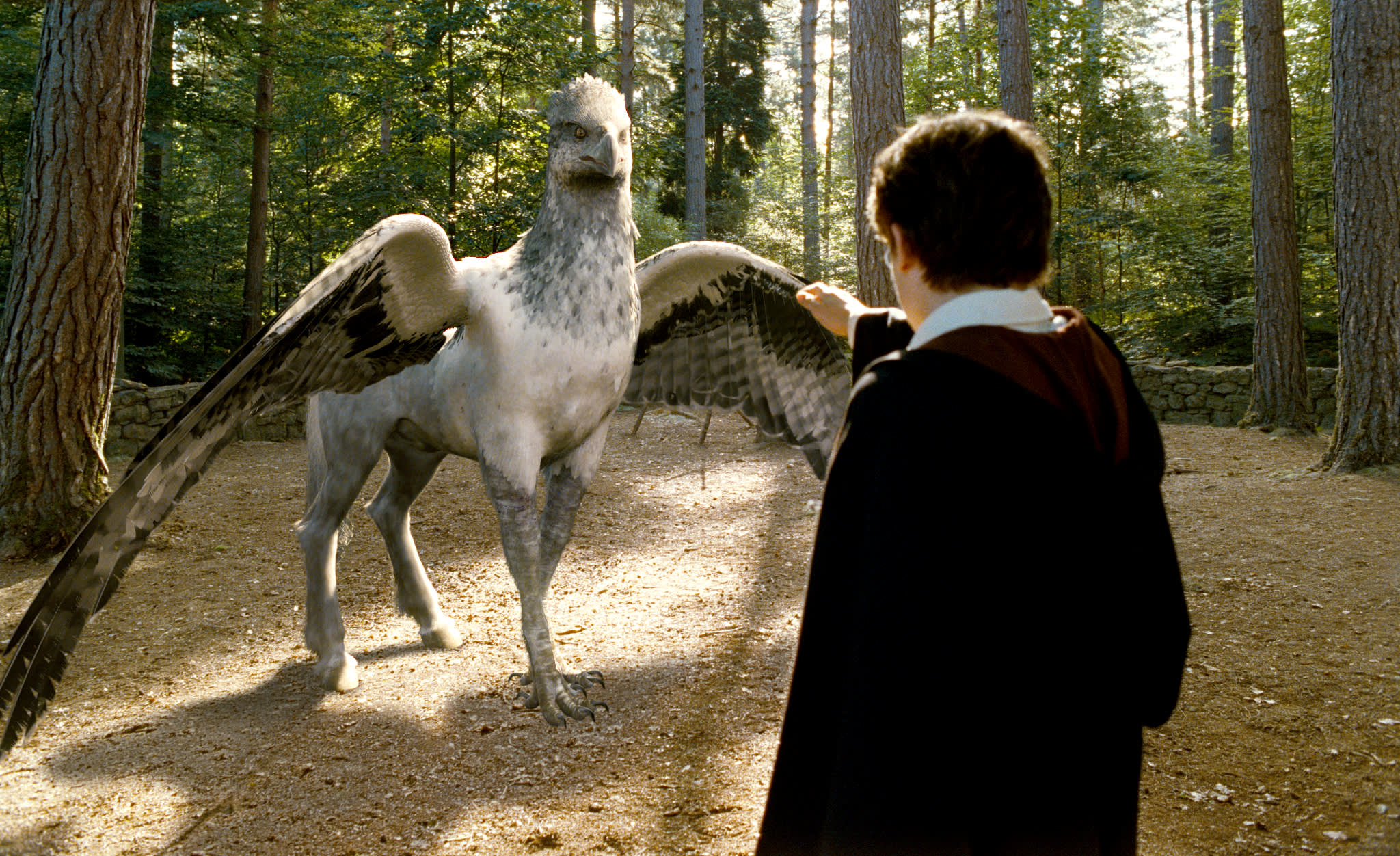 Harry is facing Buckbeak and reaching towards him during a Care of Magical Creatures lesson.