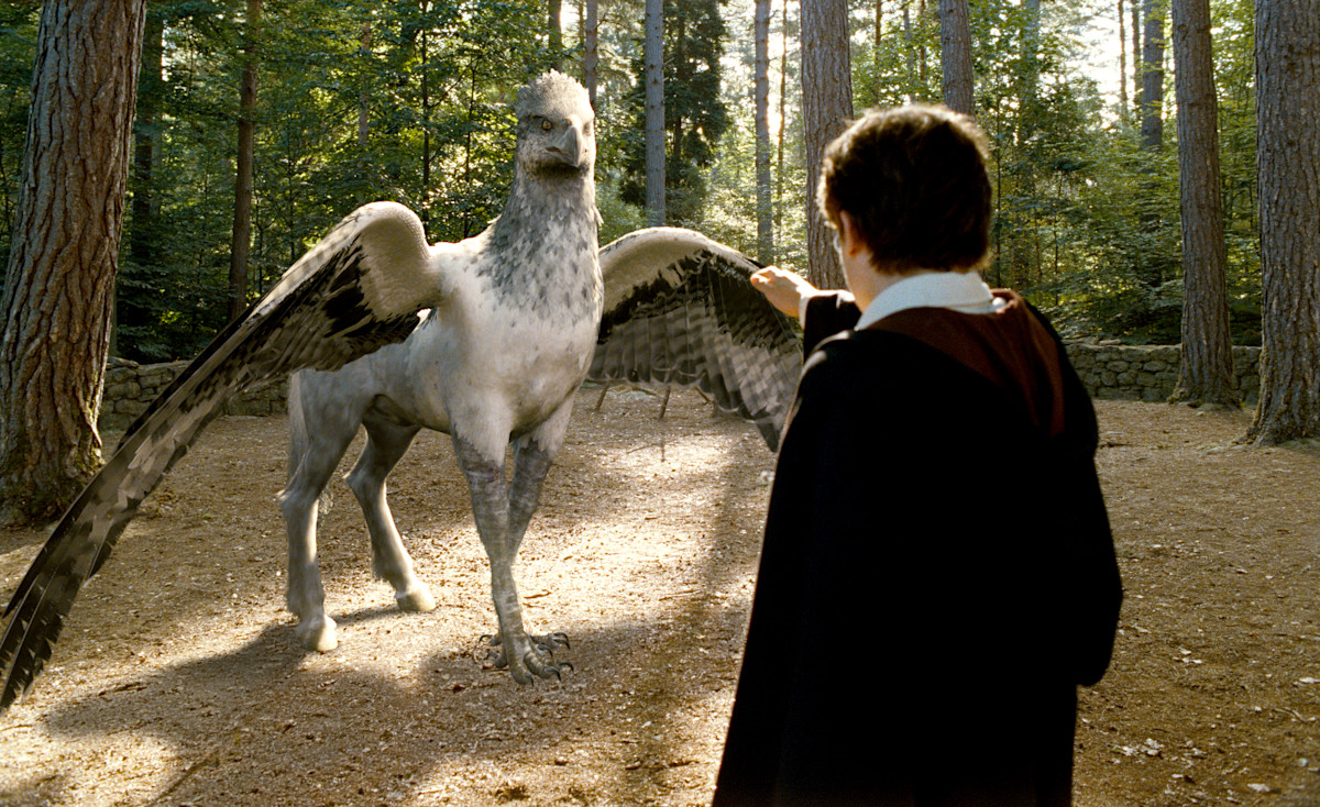 Magic Creatures Real Real Magical Creatures