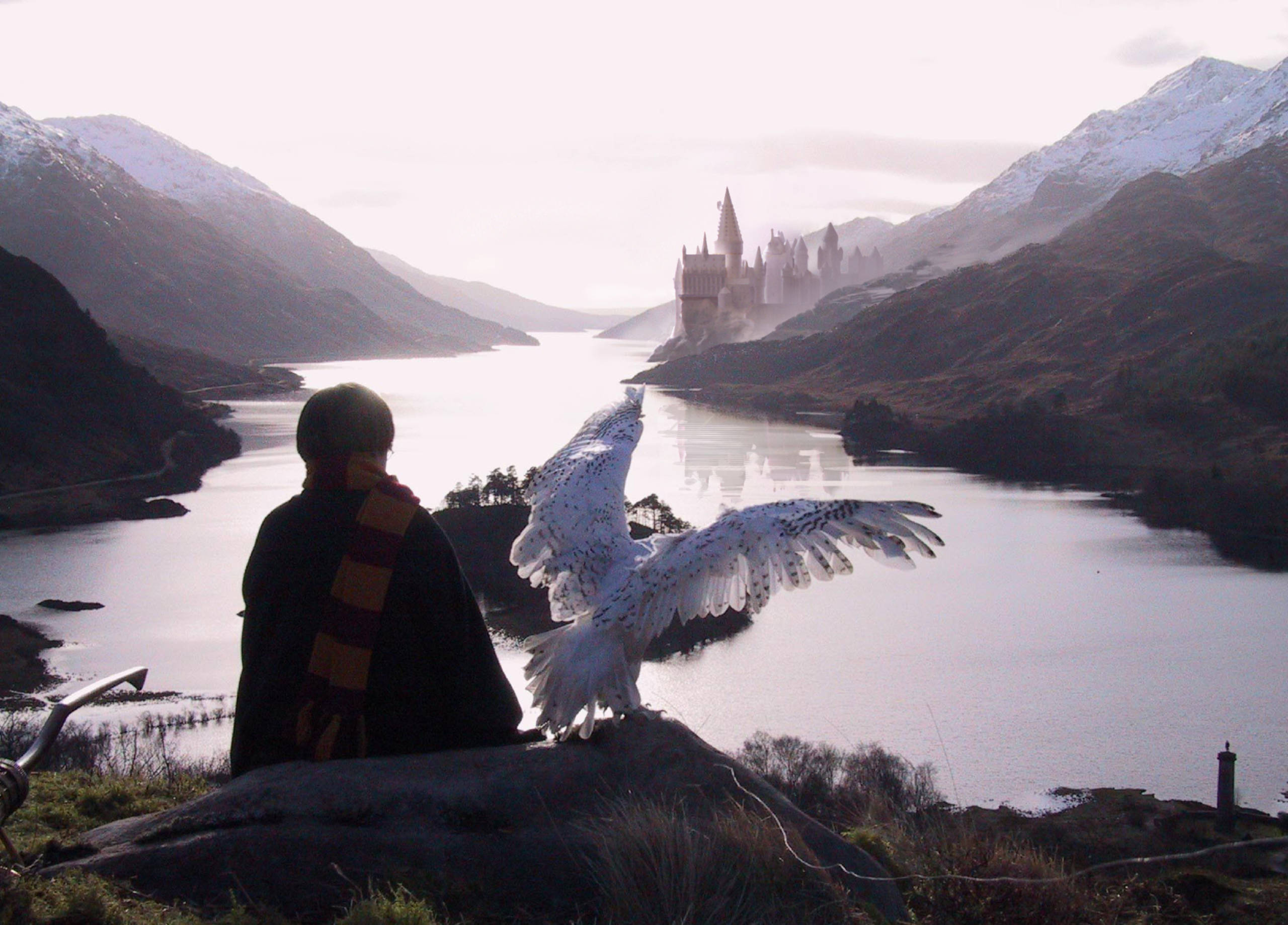 Harry and Hedwig looking at Hogwarts from a disatnce 