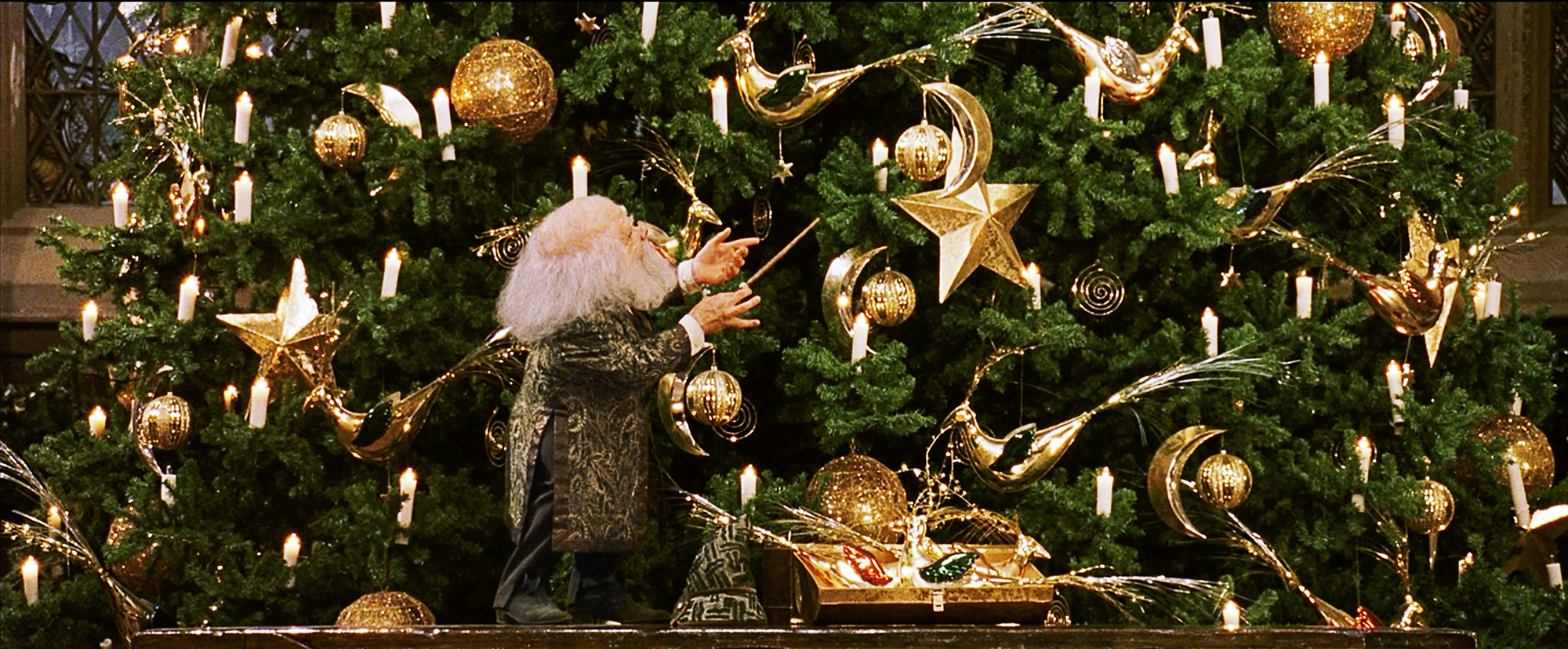 Watch: The 12 Days of Wizarding Christmas