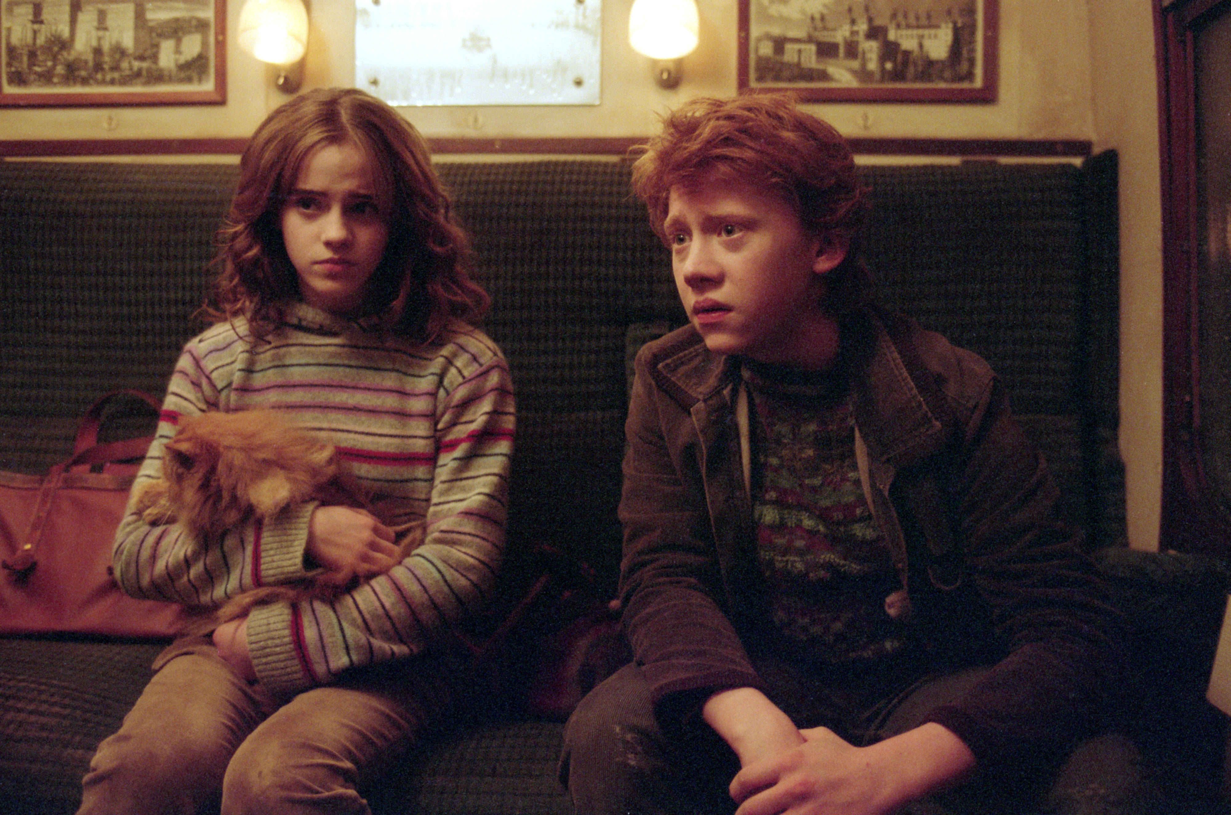 Crookshanks And Hermione 