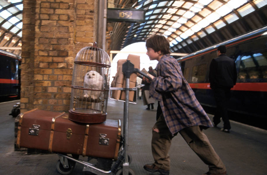 Harry Potter at the train station with his trolley and Hedwig in her cage