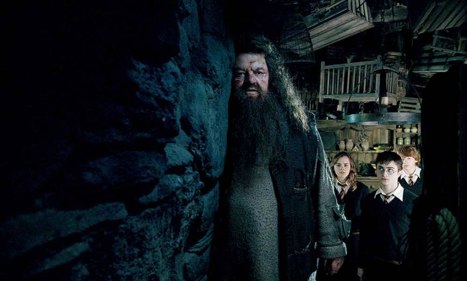 hp-f5-hagrid-harry-ron-hermione-hut-storm-app-landscape