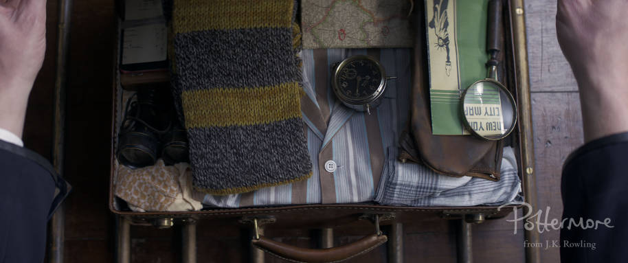 Newt's case and Hufflepuff scarf