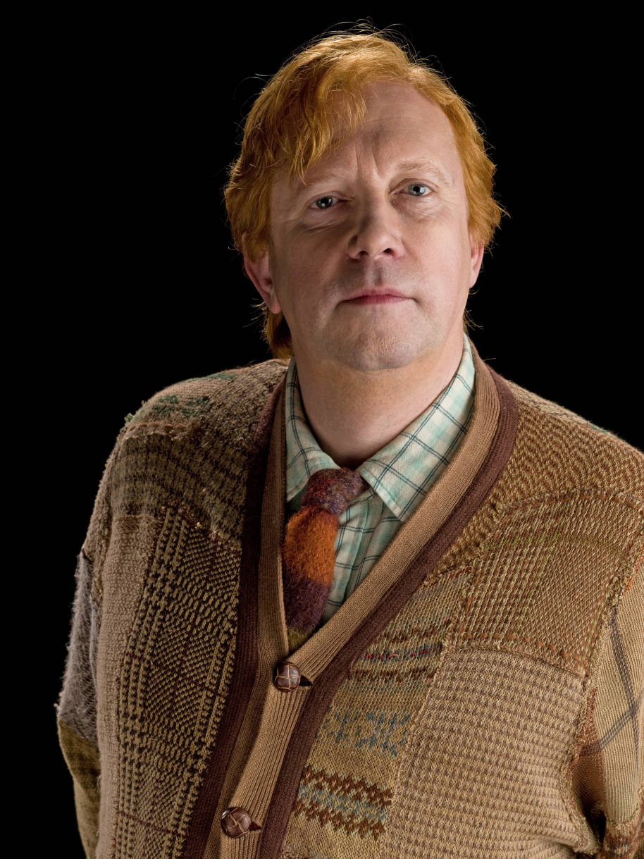Arthur Weasley from the Half Blood Prince 