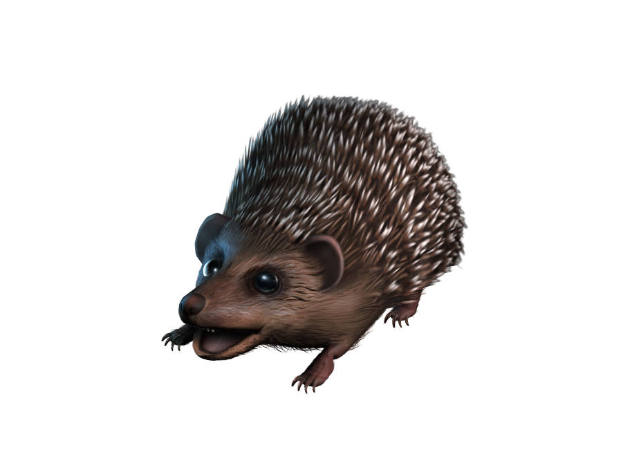Illustration of a Knarl, indistinguishable from a hedgehog