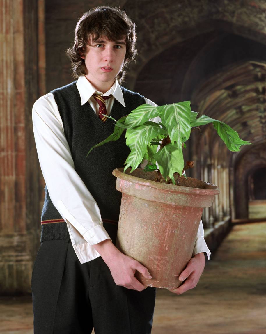 Neville poses with a plant in the Goblet of Fire.