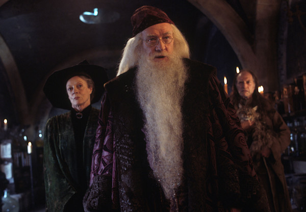 Albus Dumbledore | Official Harry Potter Encyclopedia