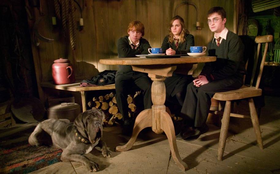 Ron, Hermione, Harry and Fang sit in Hagrid's hut