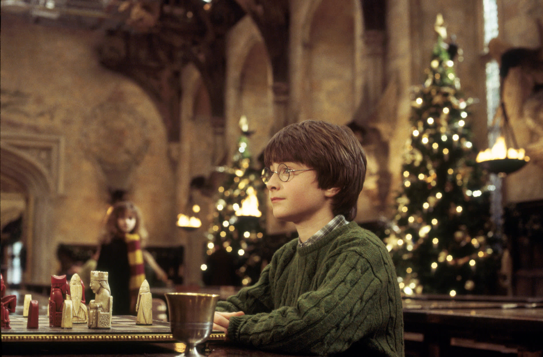 WB-HP-F1-Harry-sitting-outside-christmas-tree-with-goblet-web-landscape
