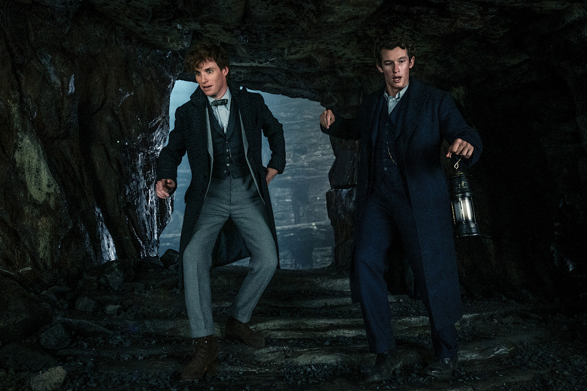Theseus Scamander | Official Harry Potter Encyclopedia