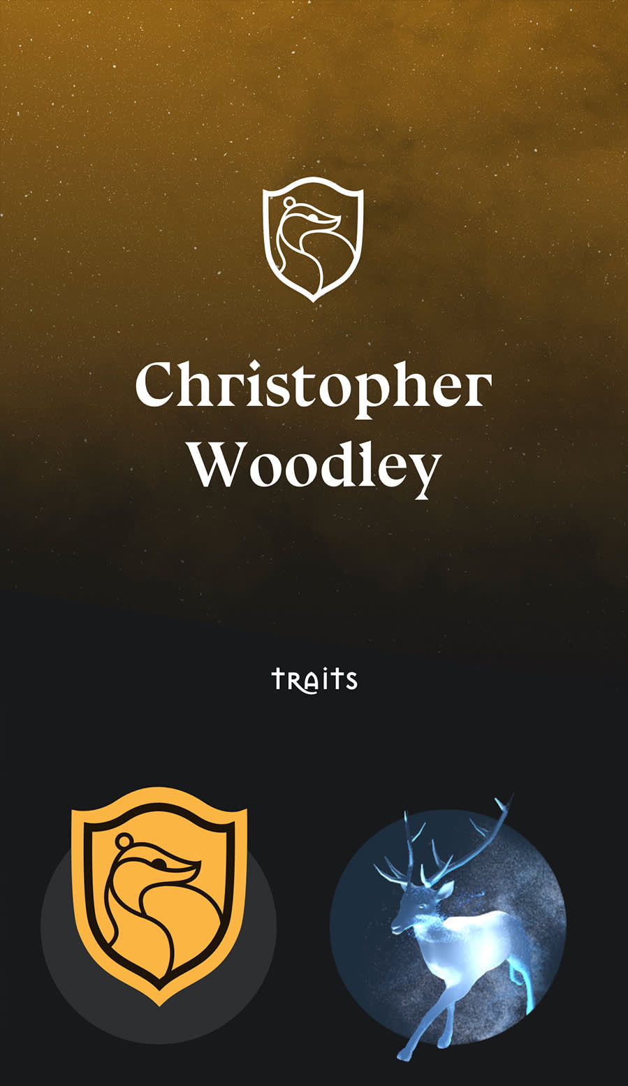 And example Profile page on the Wizarding World app. 