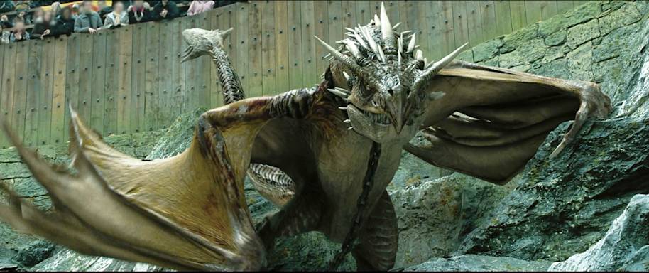 triwizard tournament dragon